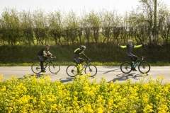 20220326 Wevelgem Belgium: Gent-Wevelgem voor wielertoeristen Cycling Classics.